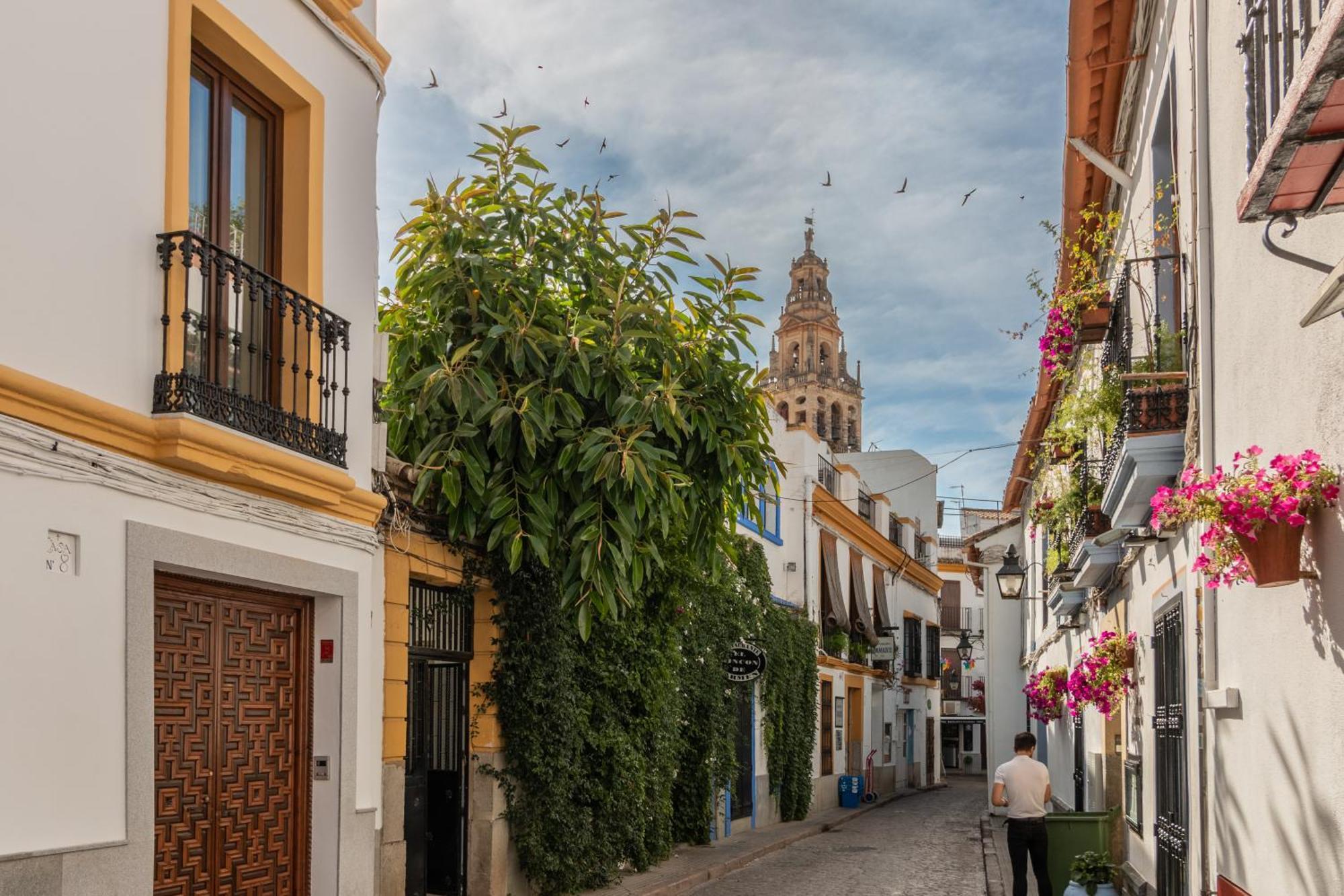 Ferienwohnung Luxury El Patio De La Juderia Córdoba Exterior foto